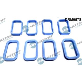 Tarpiklių rinkinys, įsiurbimo kolektorius Dr.Motor Automotive DRM057S