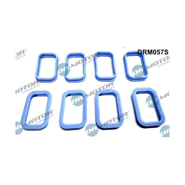 Tarpiklių rinkinys, įsiurbimo kolektorius Dr.Motor Automotive DRM057S