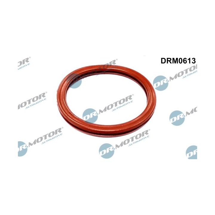 Tarpiklis, droselio korpusas Dr.Motor Automotive DRM0613