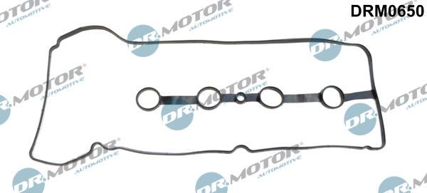 Tarpiklis, svirties dangtis Dr.Motor Automotive DRM0650