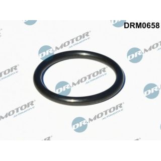 Tarpiklis, turbinos įvadas (piltuvas) Dr.Motor Automotive DRM0658