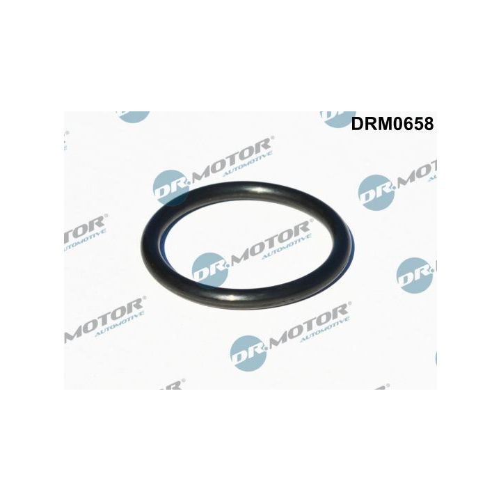 Tarpiklis, turbinos įvadas (piltuvas) Dr.Motor Automotive DRM0658