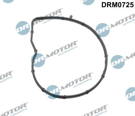 Tarpiklis, vandens siurblys Dr.Motor Automotive DRM0725