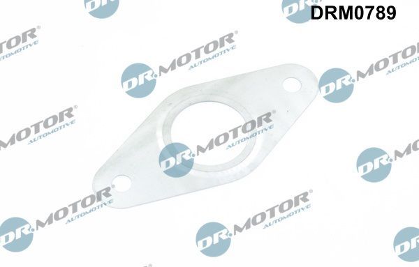 Tarpiklis, EGR vožtuvo vamzdelis Dr.Motor Automotive DRM0789