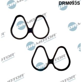 Tarpiklių rinkinys, įsiurbimo kolektorius Dr.Motor Automotive DRM093S