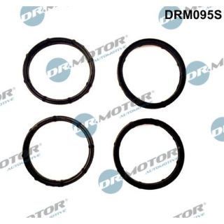 Tarpiklių rinkinys, įsiurbimo kolektorius Dr.Motor Automotive DRM095S