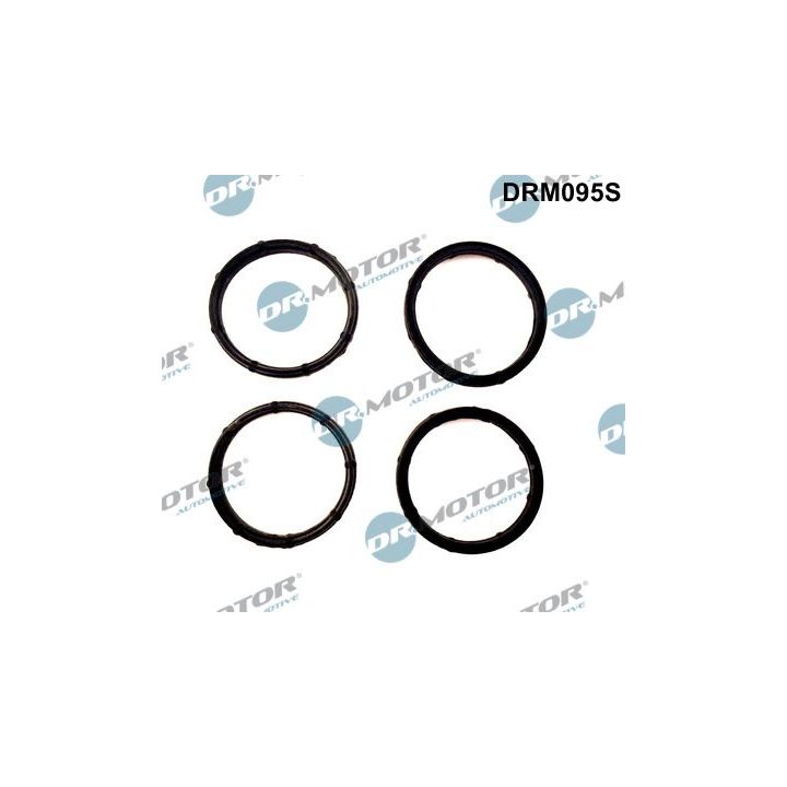 Tarpiklių rinkinys, įsiurbimo kolektorius Dr.Motor Automotive DRM095S