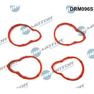 Tarpiklių rinkinys, įsiurbimo kolektorius Dr.Motor Automotive DRM096S