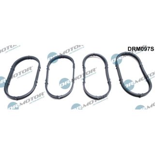 Tarpiklių rinkinys, įsiurbimo kolektorius Dr.Motor Automotive DRM097S