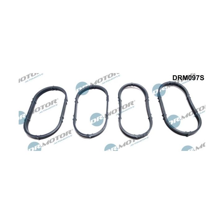 Tarpiklių rinkinys, įsiurbimo kolektorius Dr.Motor Automotive DRM097S