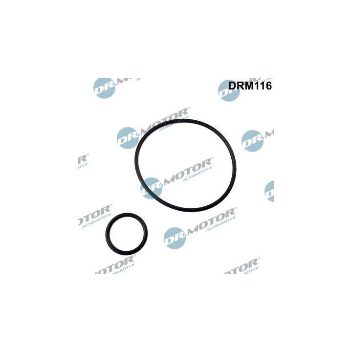 Tarpiklių rinkinys, įsiurbimo kolektorius Dr.Motor Automotive DRM116