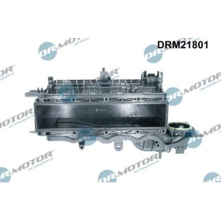 įsiurbimo kolektoriaus modulis Dr.Motor Automotive DRM21801