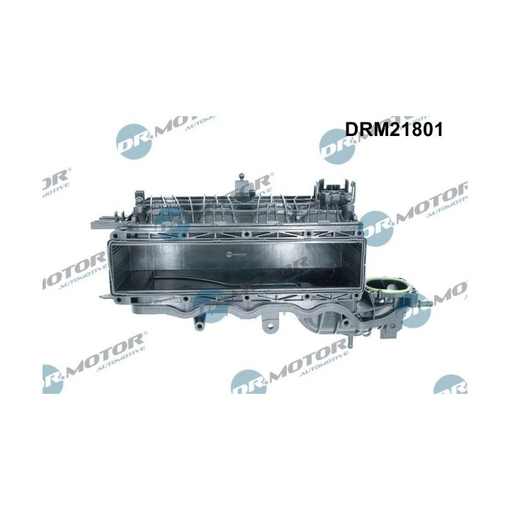 įsiurbimo kolektoriaus modulis Dr.Motor Automotive DRM21801