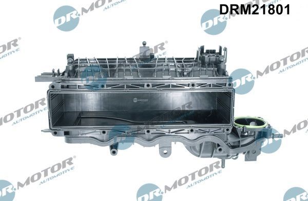 įsiurbimo kolektoriaus modulis Dr.Motor Automotive DRM21801