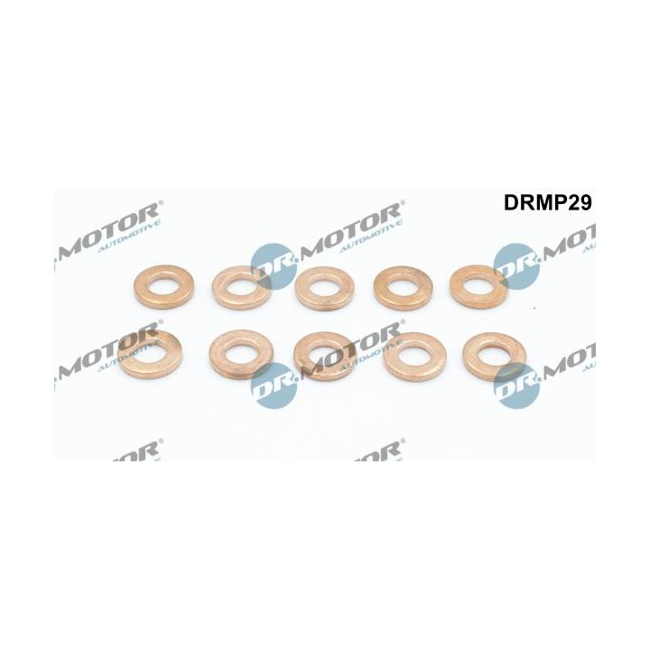 šiluminis ekranas, įpurškimo sistema Dr.Motor Automotive DRMP29