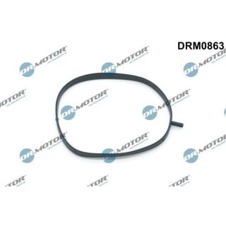 Tarpiklis, įsiurbimo kolektoriaus korpusas Dr.Motor Automotive DRM0863