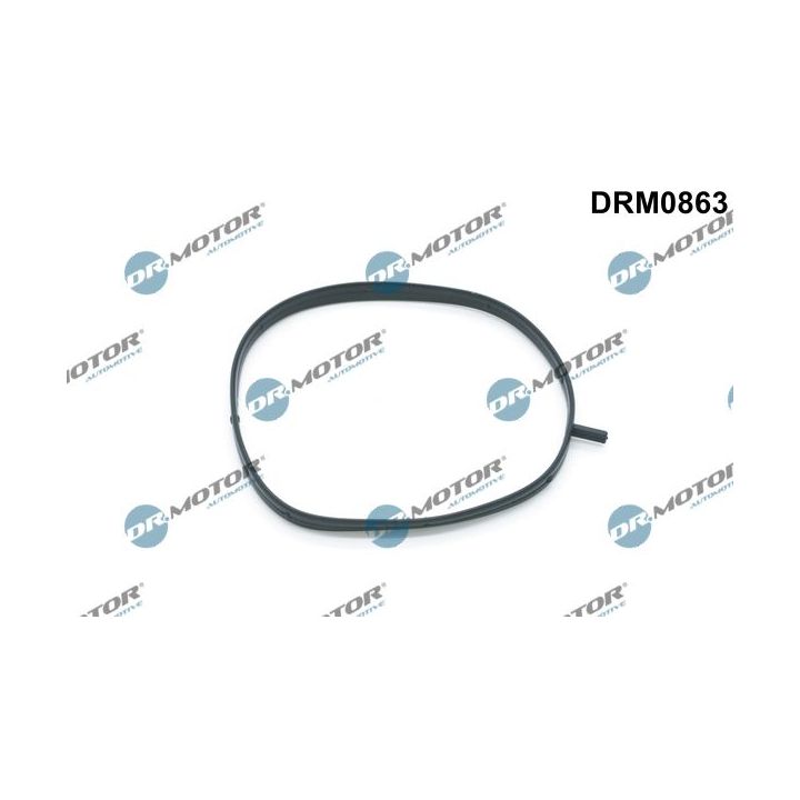 Tarpiklis, įsiurbimo kolektoriaus korpusas Dr.Motor Automotive DRM0863