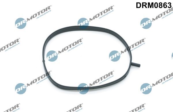 Tarpiklis, įsiurbimo kolektoriaus korpusas Dr.Motor Automotive DRM0863