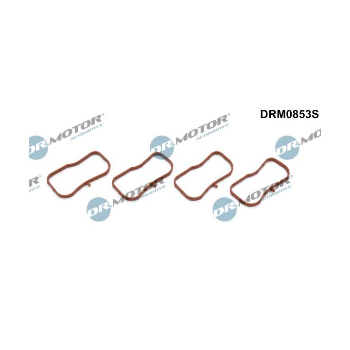 Tarpiklių rinkinys, įsiurbimo kolektorius Dr.Motor Automotive DRM0853S