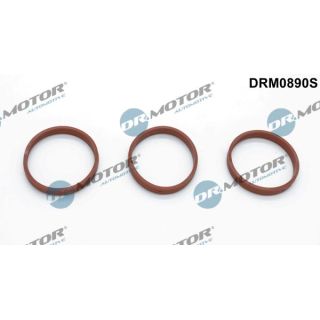 Tarpiklių rinkinys, įsiurbimo kolektorius Dr.Motor Automotive DRM0890S