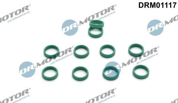 Remonto komplektas, oro kondicionierius Dr.Motor Automotive DRM01117