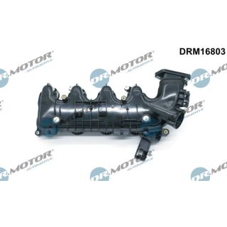 įsiurbimo kolektoriaus modulis Dr.Motor Automotive DRM16803
