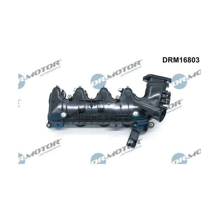 įsiurbimo kolektoriaus modulis Dr.Motor Automotive DRM16803