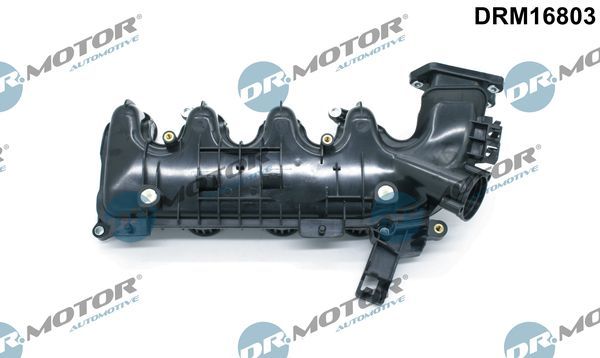 įsiurbimo kolektoriaus modulis Dr.Motor Automotive DRM16803