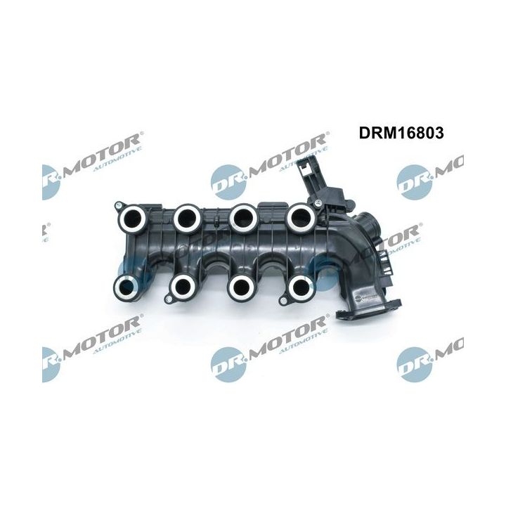 įsiurbimo kolektoriaus modulis Dr.Motor Automotive DRM16803