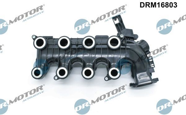įsiurbimo kolektoriaus modulis Dr.Motor Automotive DRM16803