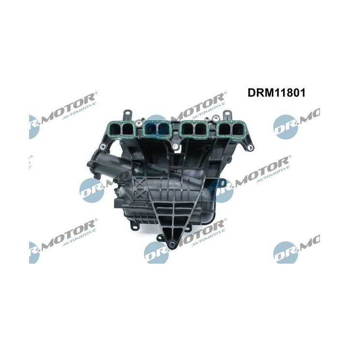 įsiurbimo kolektoriaus modulis Dr.Motor Automotive DRM11801