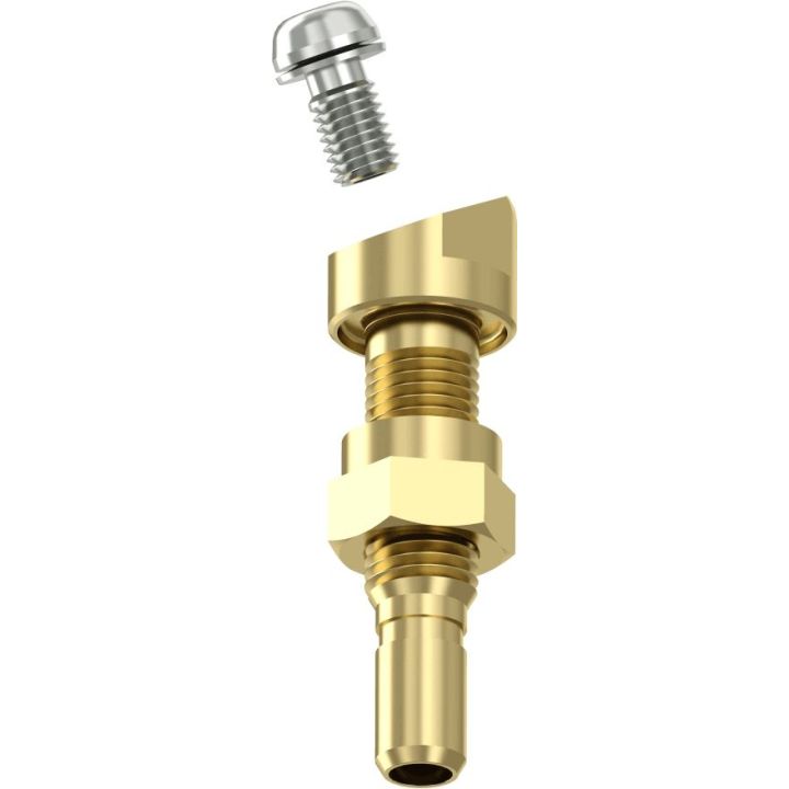 Vožtuvas WABCO 9607321330