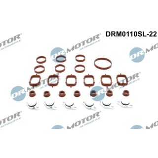 Remonto komplektas, įsiurbimo kolektoriaus modulis Dr.Motor Automotive DRM0110SL-22