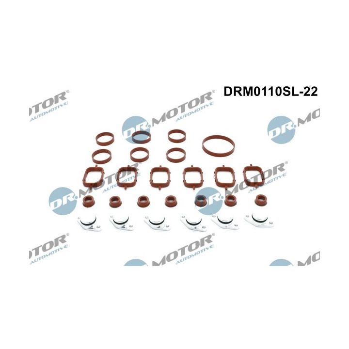 Remonto komplektas, įsiurbimo kolektoriaus modulis Dr.Motor Automotive DRM0110SL-22