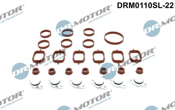 Remonto komplektas, įsiurbimo kolektoriaus modulis Dr.Motor Automotive DRM0110SL-22