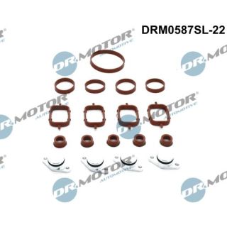 Remonto komplektas, įsiurbimo kolektoriaus modulis Dr.Motor Automotive DRM0587SL-22