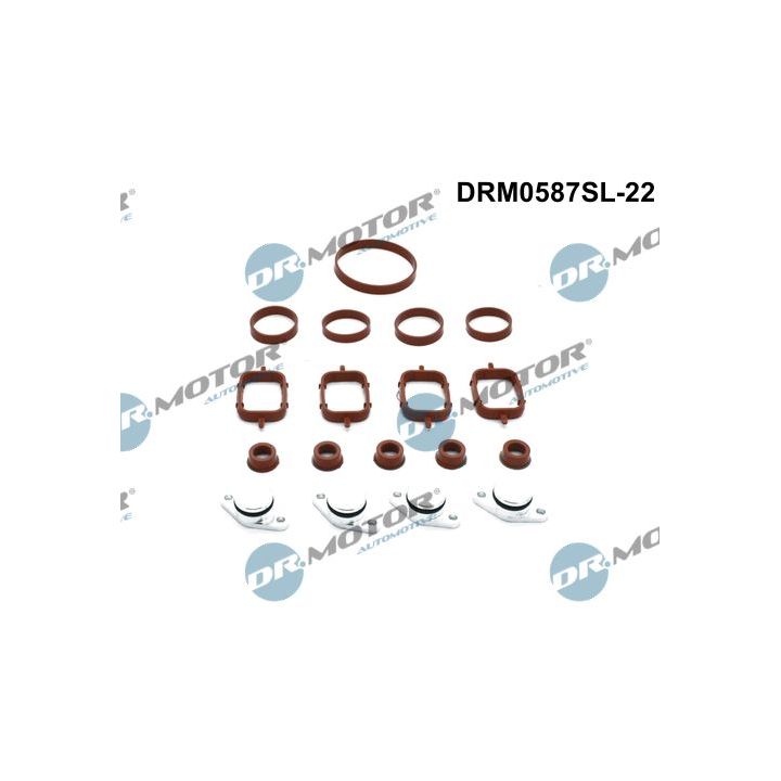 Remonto komplektas, įsiurbimo kolektoriaus modulis Dr.Motor Automotive DRM0587SL-22