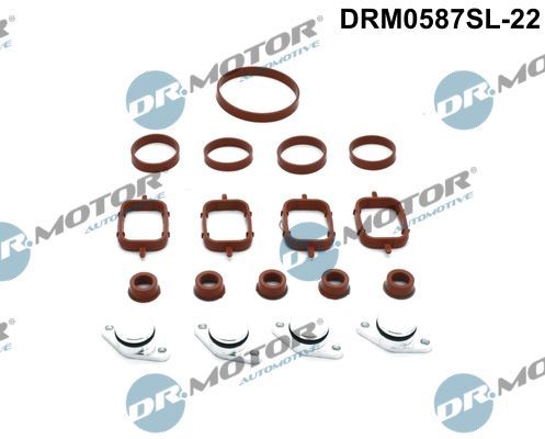 Remonto komplektas, įsiurbimo kolektoriaus modulis Dr.Motor Automotive DRM0587SL-22