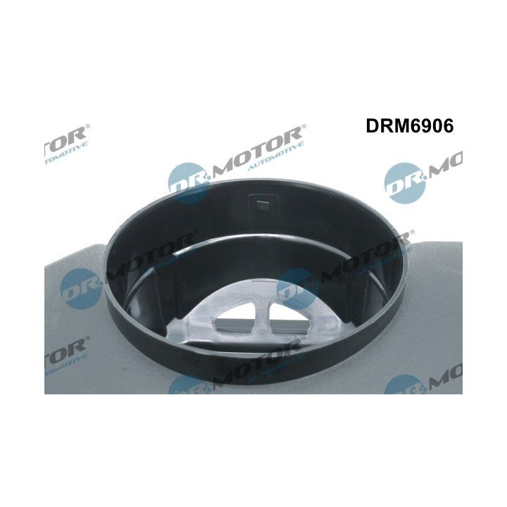Svirties dangtelis Dr.Motor Automotive DRM6906