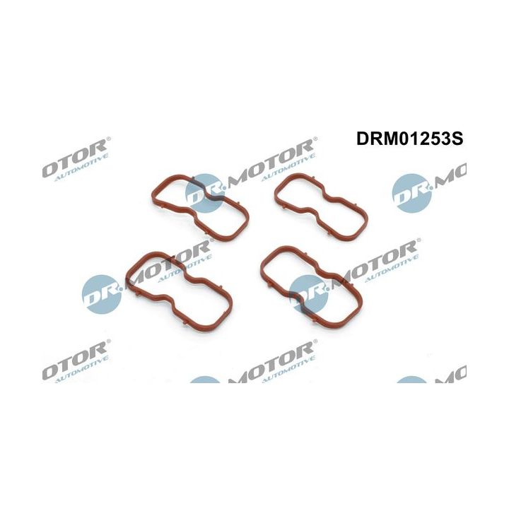 Tarpiklių rinkinys, įsiurbimo kolektorius Dr.Motor Automotive DRM01253S