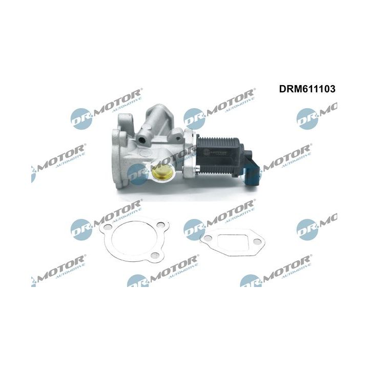 ERG vožtuvas Dr.Motor Automotive DRM611103