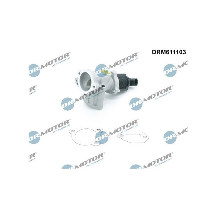 ERG vožtuvas Dr.Motor Automotive DRM611103