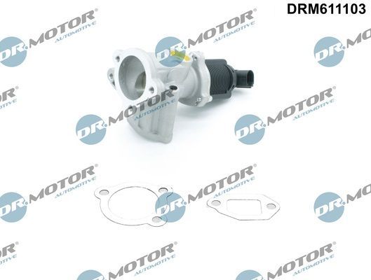 ERG vožtuvas Dr.Motor Automotive DRM611103