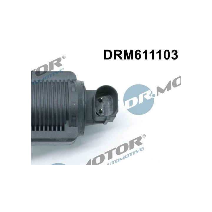 ERG vožtuvas Dr.Motor Automotive DRM611103