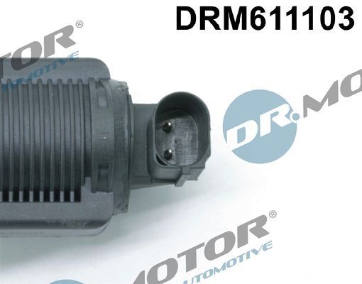 ERG vožtuvas Dr.Motor Automotive DRM611103