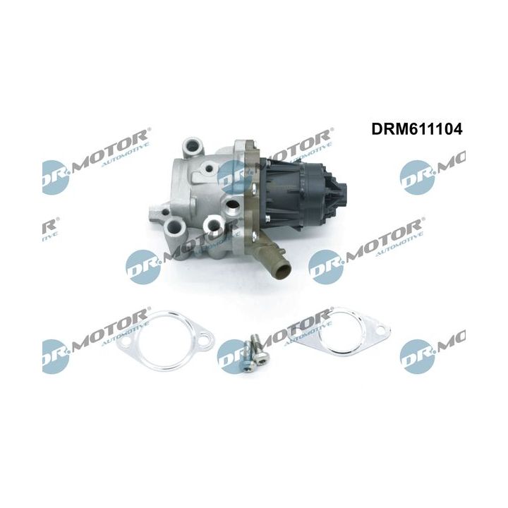ERG vožtuvas Dr.Motor Automotive DRM611104