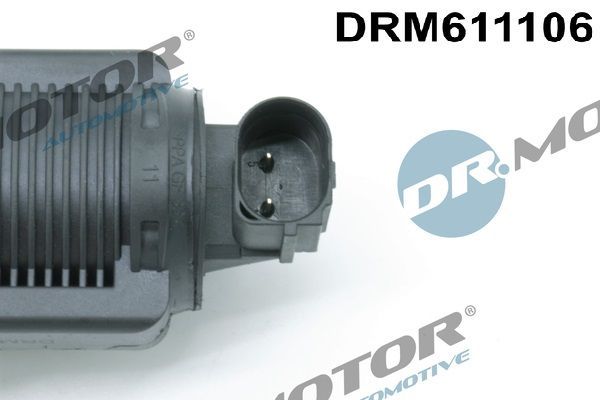 ERG vožtuvas Dr.Motor Automotive DRM611106