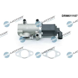 ERG vožtuvas Dr.Motor Automotive DRM611107