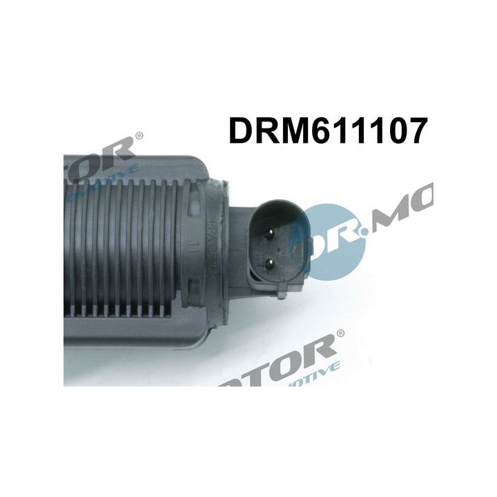ERG vožtuvas Dr.Motor Automotive DRM611107
