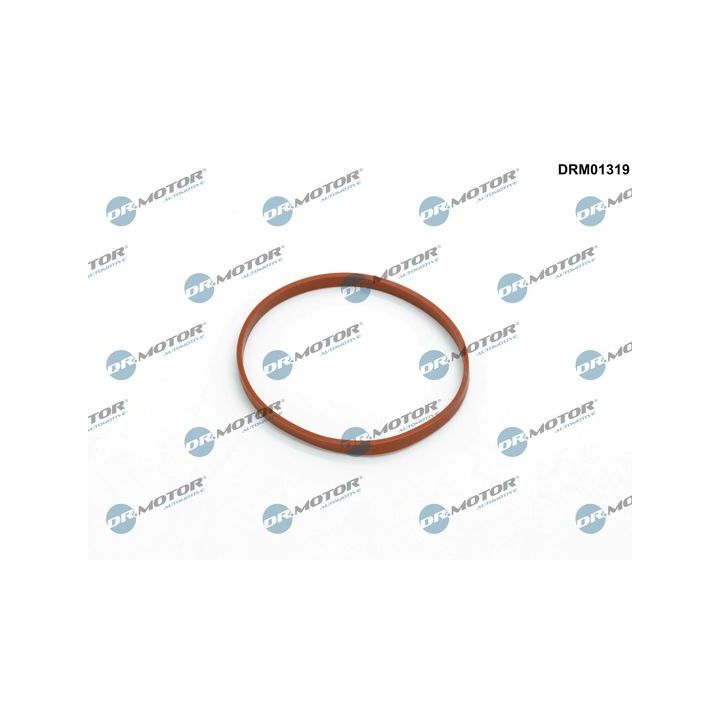 Tarpiklis, droselio korpusas Dr.Motor Automotive DRM01319